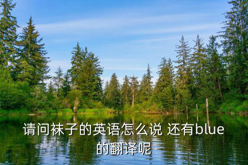 請(qǐng)問襪子的英語怎么說 還有blue的翻譯呢
