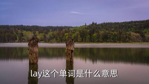 lay這個單詞是什么意思