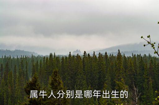 屬牛人分別是哪年出生的