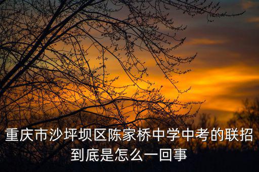 重慶市沙坪壩區(qū)陳家橋中學(xué)中考的聯(lián)招到底是怎么一回事