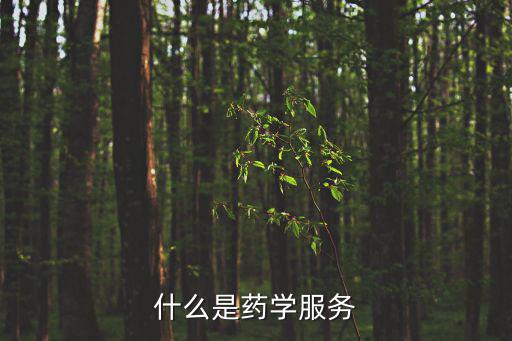 什么是藥學(xué)服務(wù)