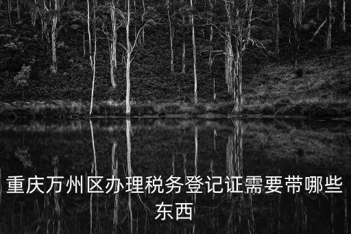 重慶萬州區辦理稅務登記證需要帶哪些東西