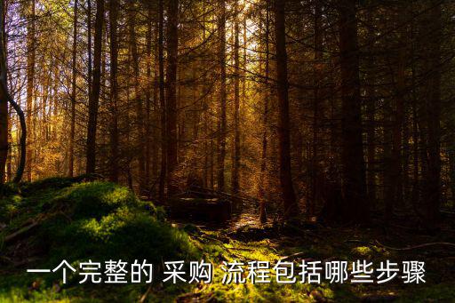 一個完整的 采購 流程包括哪些步驟