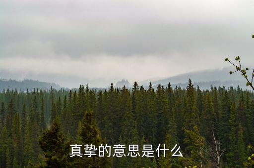 真摯的意思是什么