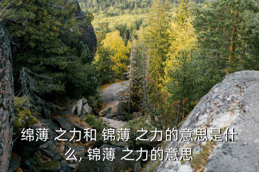 錦薄之力,微薄之力與盡力而為的區別