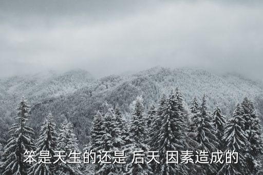 笨是天生的還是 后天 因素造成的