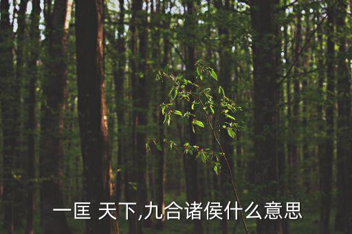  一匡 天下,九合諸侯什么意思