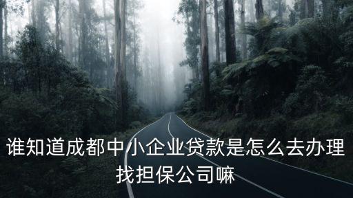 誰知道成都中小企業貸款是怎么去辦理找擔保公司嘛