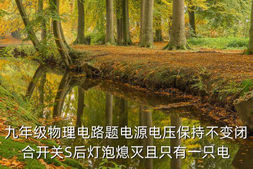 九年級(jí)物理電路題電源電壓保持不變閉合開(kāi)關(guān)S后燈泡熄滅且只有一只電