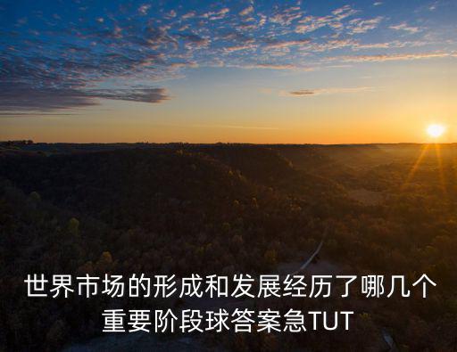 世界市場的形成過程,第四階段資本主義世界市場初步形成