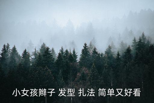 小女孩辮子 發(fā)型 扎法 簡單又好看