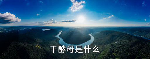 干酵母是什么