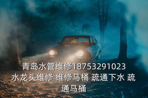 青島水管維修18753291023水龍頭維修 維修馬桶 疏通下水 疏通馬桶