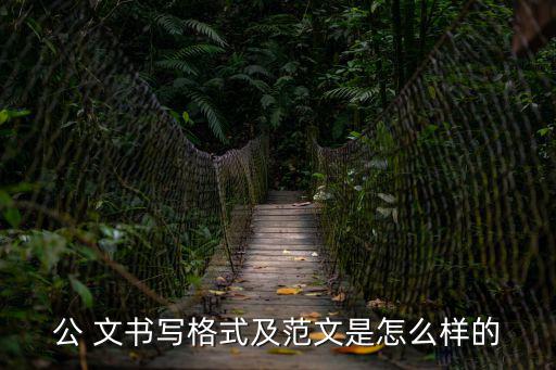 公 文書寫格式及范文是怎么樣的