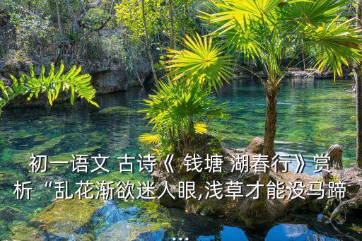古詩錢塘湖春行,白居易:早春西湖美景令人陶醉