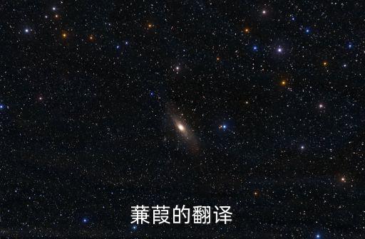 蒹葭的翻譯
