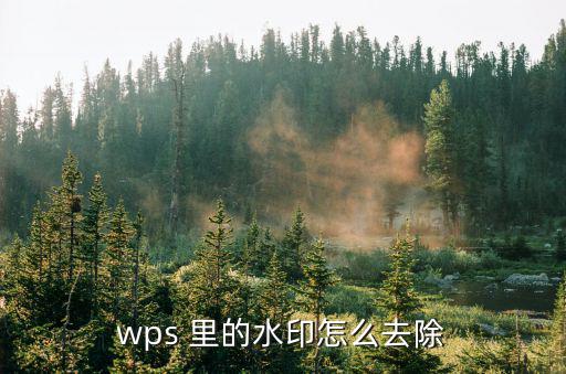 wps 里的水印怎么去除