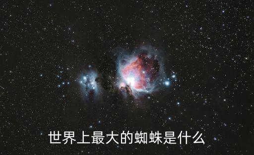 世界上最大的蜘蛛是什么