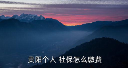 貴陽社保,想知道貴陽個人繳費社保如何繳納