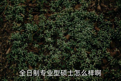 全日制專業型碩士怎么樣啊