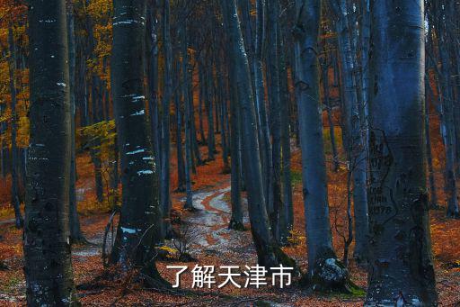 了解天津市