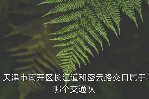 天津市南開區長江道和密云路交口屬于哪個交通隊