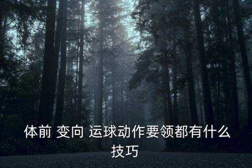  體前 變向 運球動作要領(lǐng)都有什么技巧