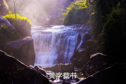 黃字草書