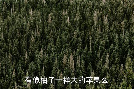 有像柚子一樣大的蘋果么