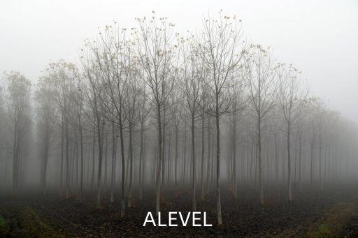 ALEVEL