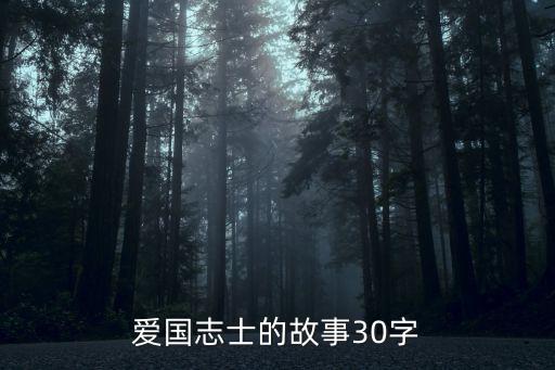 愛國志士的故事30字