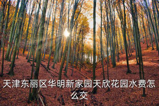 天津東麗區華明新家園天欣花園水費怎么交