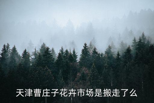 天津市雷莊子花窯搬哪去了，誰知道天津何莊子花市搬到哪啦謝謝