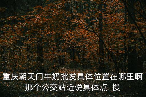 重慶朝天門牛奶批發(fā)具體位置在哪里啊那個(gè)公交站近說具體點(diǎn)  搜