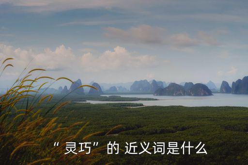 “ 靈巧”的 近義詞是什么