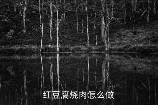 豆腐紅燒肉，紅燒豆腐肉的家常做法大全怎么做好吃