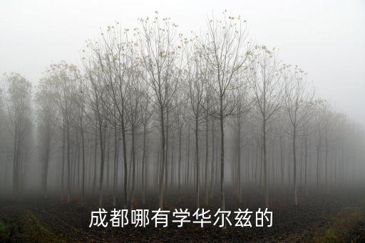 成都市明月國標舞班，成都哪有學華爾茲的