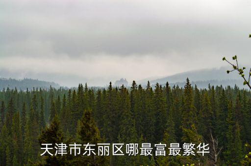 天津市東麗區哪最富最繁華