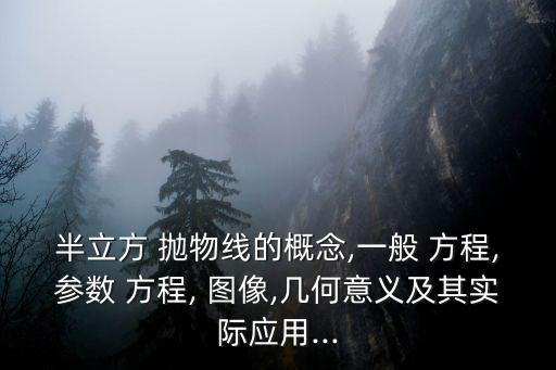 半立方 拋物線的概念,一般 方程,參數 方程, 圖像,幾何意義及其實際應用...