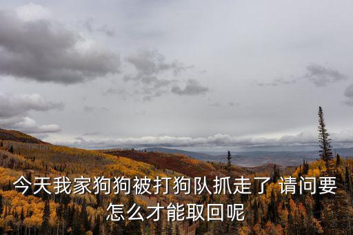 天津市最新打狗新聞，今天我家狗狗被打狗隊抓走了 請問要怎么才能取回呢