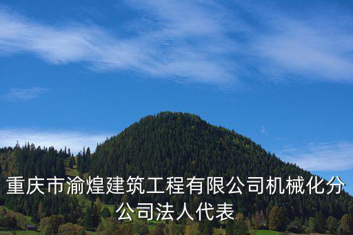 重慶市渝煌建筑工程有限公司機(jī)械化分公司法人代表