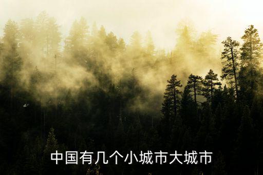 中國有幾個小城市大城市