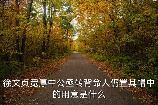 徐文貞寬厚，徐文貞寬厚翻譯