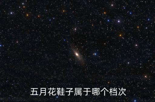 五月花,五月花號(hào)"是英國(guó)三桅船之一