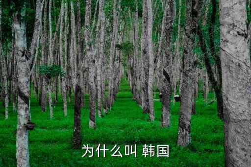 韓國為什么叫韓國,韓國，大韓民國名稱由來和韓國簡史
