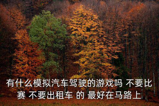 有什么模擬汽車駕駛的游戲嗎 不要比賽 不要出租車 的 最好在馬路上