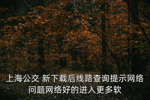 上海公交 新下載后線路查詢提示網絡問題網絡好的進入更多軟