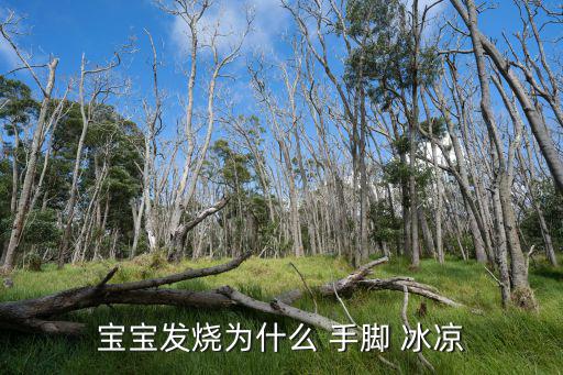 小孩手腳冰涼是怎么回事,寶寶手腳冰涼發(fā)燒怎么辦?一文看懂