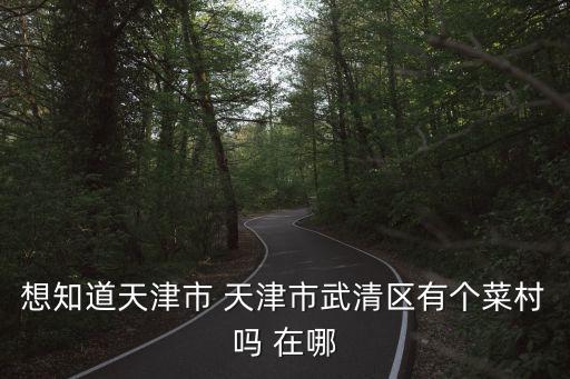 想知道天津市 天津市武清區(qū)有個菜村嗎 在哪
