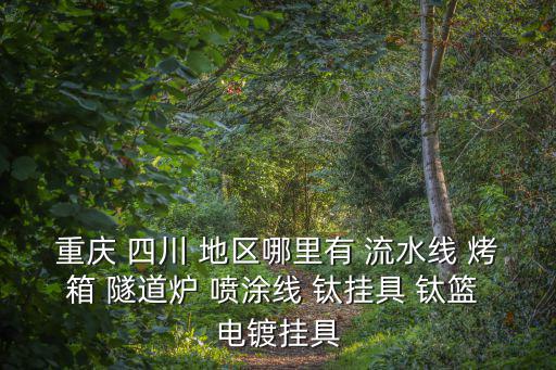 重慶市隧道爐，重慶 四川 地區(qū)哪里有 流水線 烤箱 隧道爐 噴涂線 鈦掛具 鈦籃 電鍍掛具